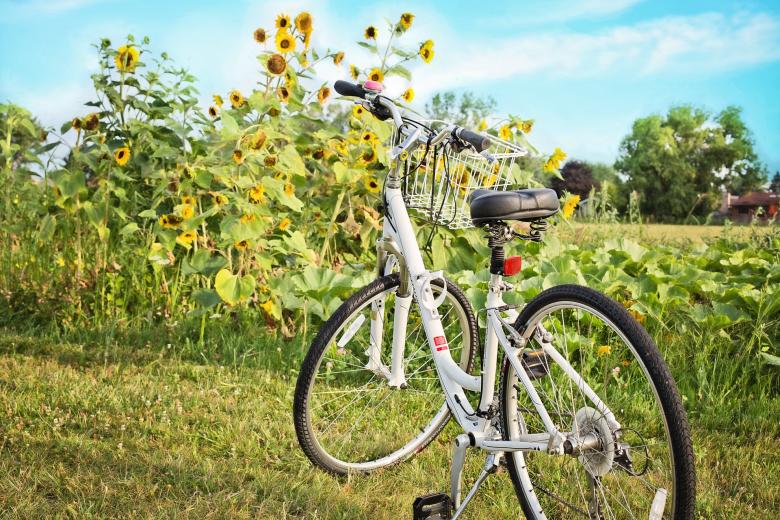 Free stock image of Bicycle in the Field created by Pixabay