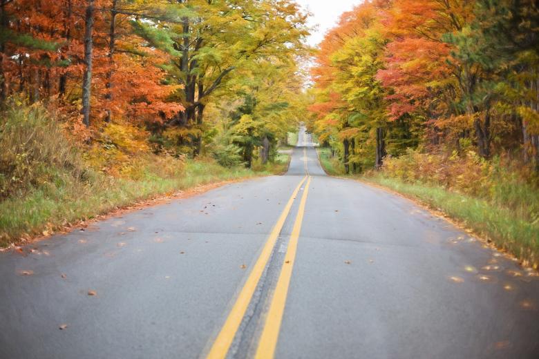 Free stock image of Road in Autumn created by Pixabay