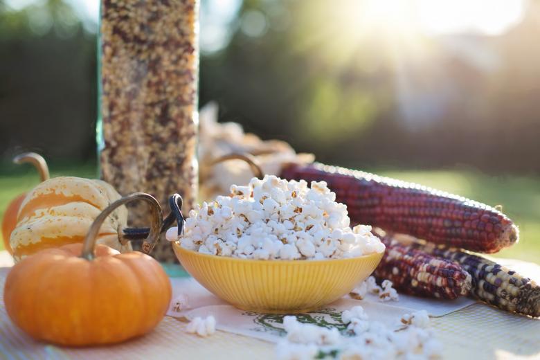 Free stock image of Popcorns in a Bowl created by Pixabay