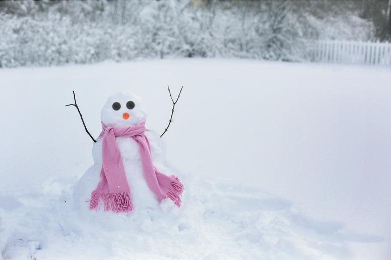 Free stock image of Snow Woman without Hat created by Pixabay