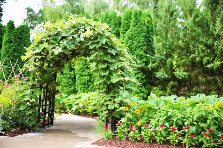 Free stock image of Arbor created by Pixabay