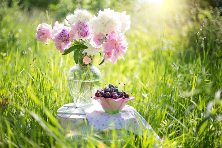 Free stock image of Cherries and Flowers created by Pixabay