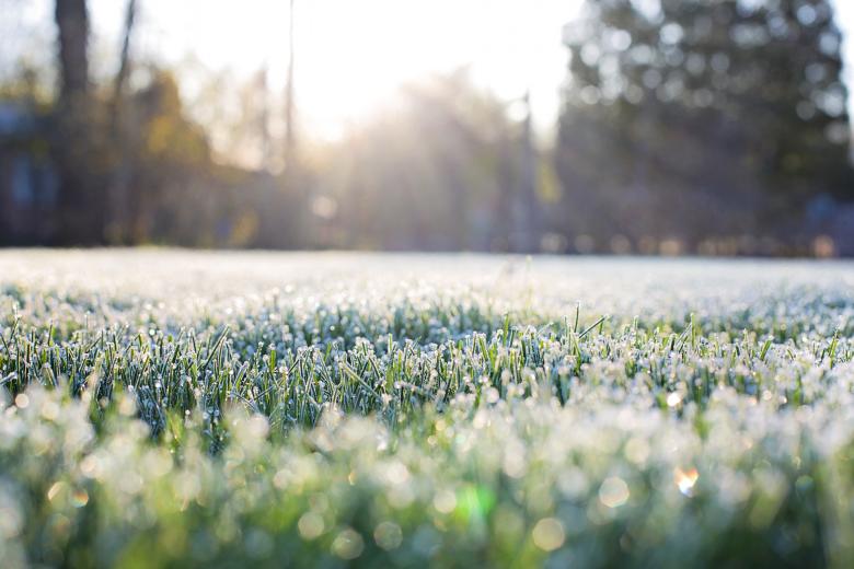 Free stock image of Grass in Winter created by Pixabay