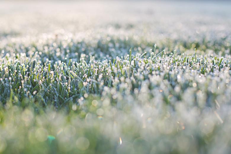 Free stock image of Frost on Grass created by Pixabay