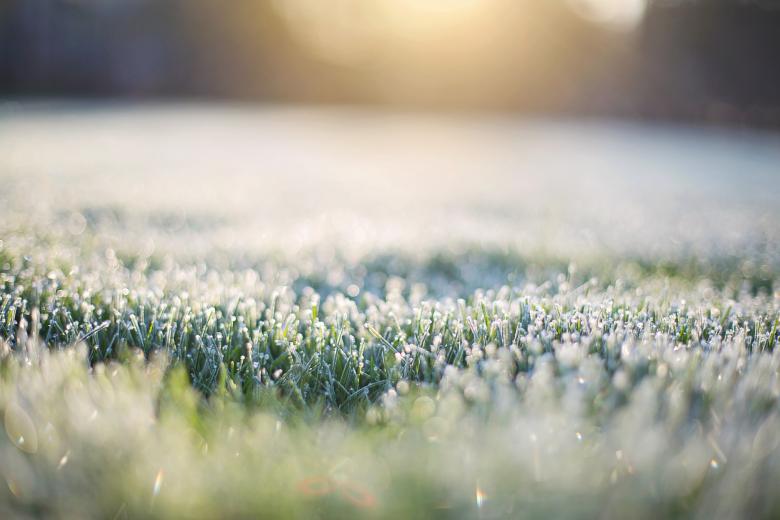 Free stock image of Frost on Grass created by Pixabay