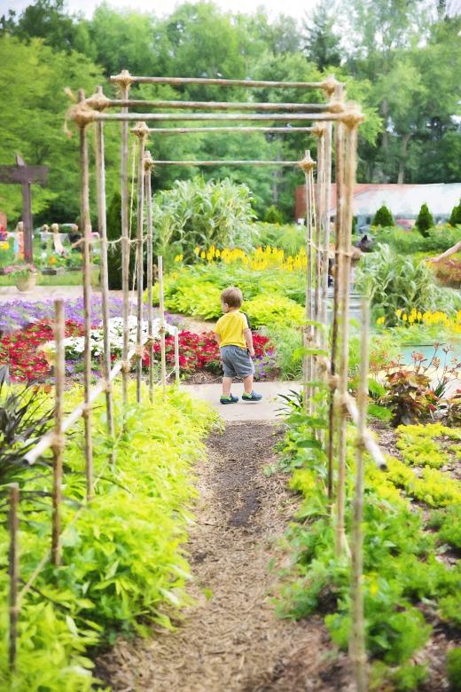 Free stock image of Child in the Garden created by Pixabay