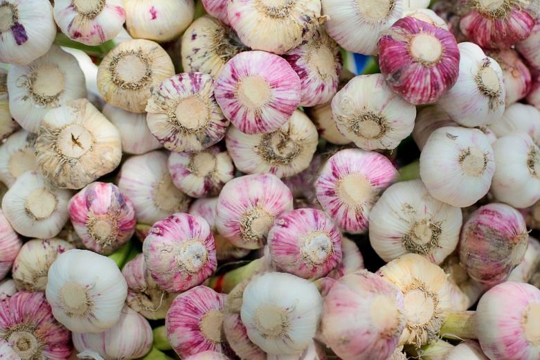 Free stock image of Bunch of Garlic created by Pixabay