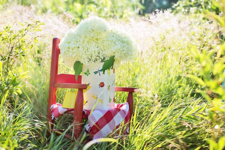 Free stock image of Fresh Hydrangeas created by Pixabay