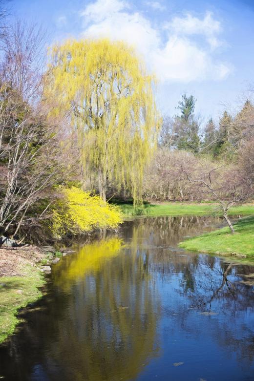 Free stock image of Spring created by Pixabay