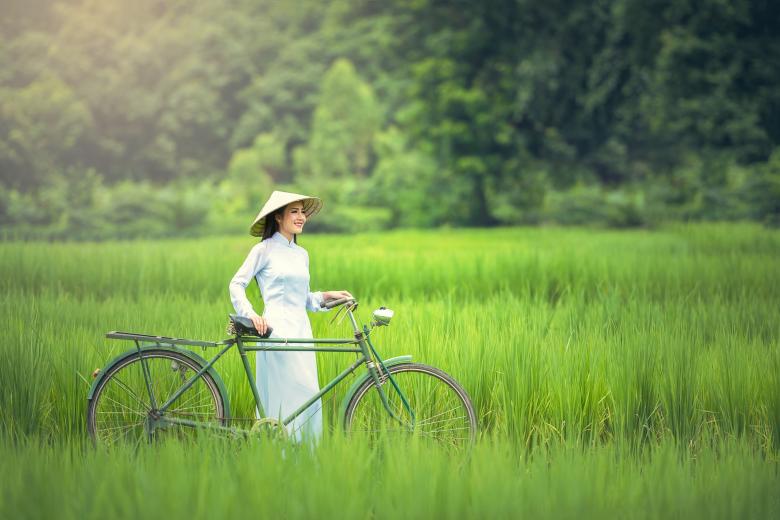 Free stock image of Lady with the Bicycle created by Pixabay