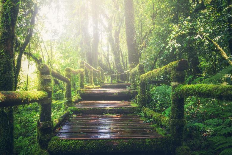 Free stock image of Wild Route created by Pixabay