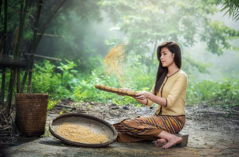 Free stock image of Girl Checking Rice created by Pixabay