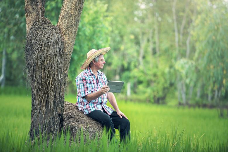 Free stock image of Observing the Field created by Pixabay