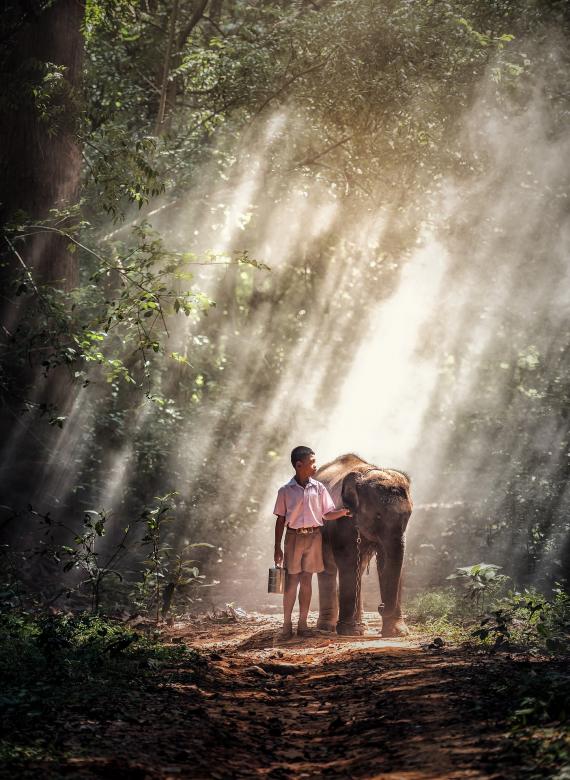Free stock image of Boy with Elephant created by Pixabay