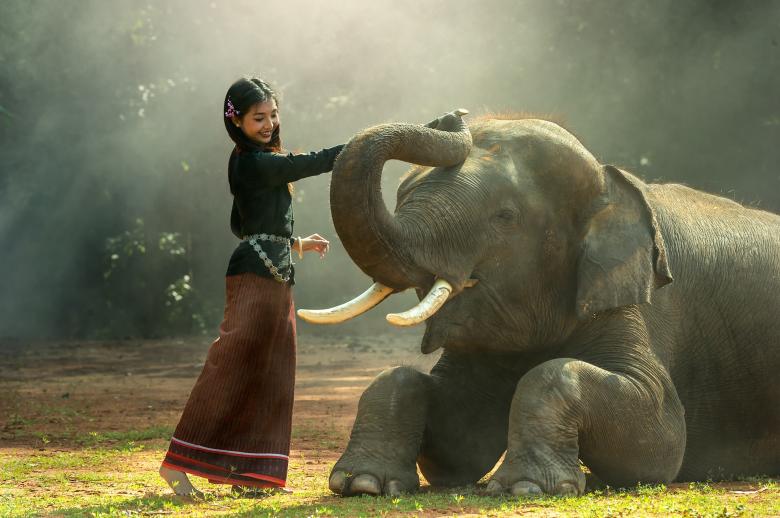 Free stock image of Girl With the Elephant created by Pixabay
