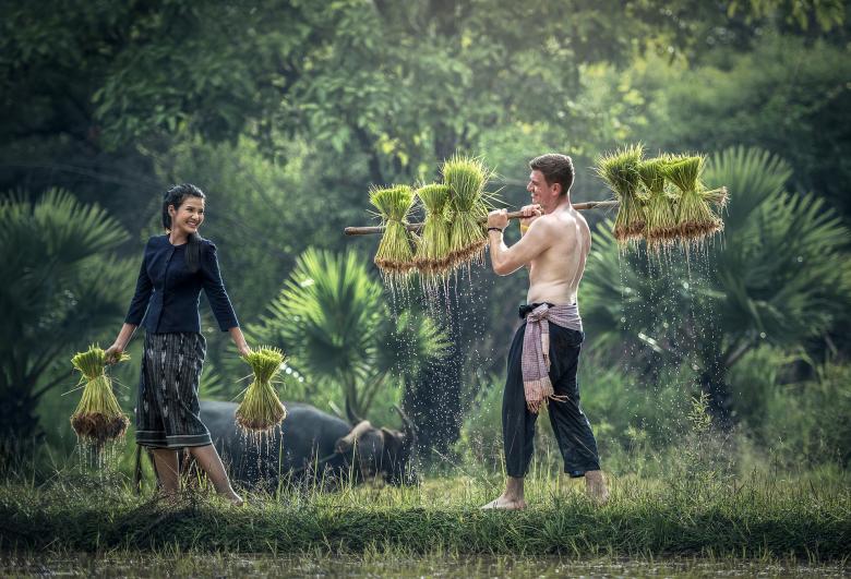 Free stock image of Couple in the Field created by Pixabay
