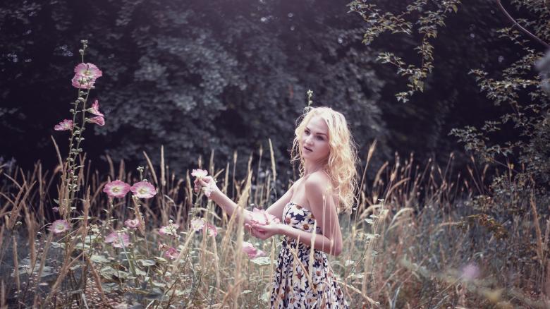 Free stock image of Girl Collecting Flowers created by Pixabay