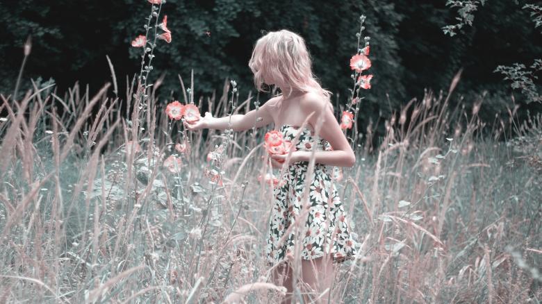 Free stock image of Lady Collecting Flowers created by Pixabay
