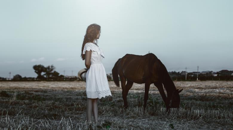 Free stock image of Girl with Horse created by Pixabay
