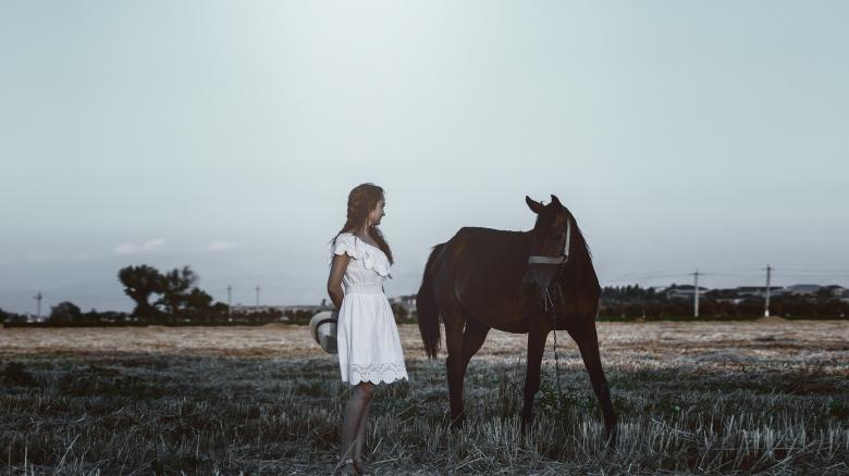 Free stock image of Photo Session with a Horse created by Pixabay
