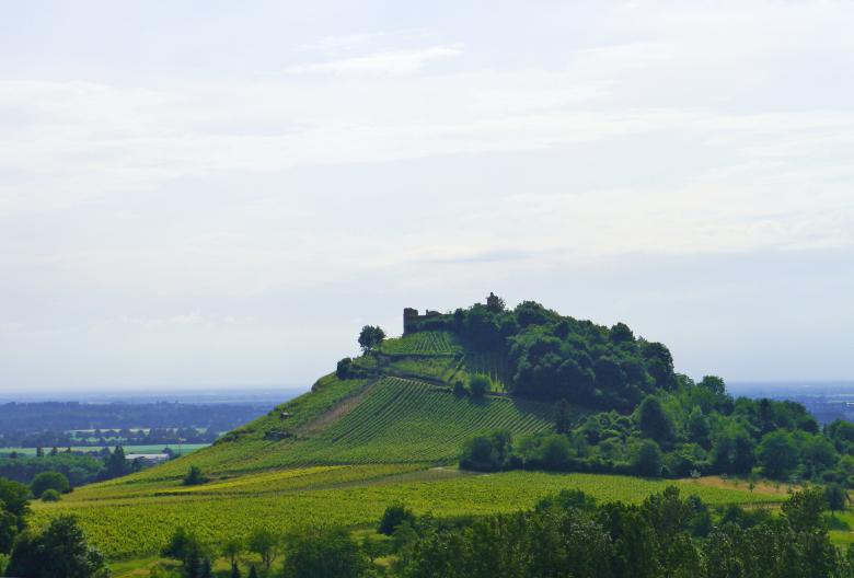 Free stock image of Vineyard View created by Pixabay