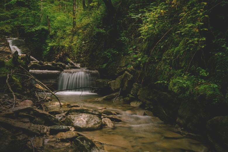 Free stock image of Wild Waterfall created by Pixabay