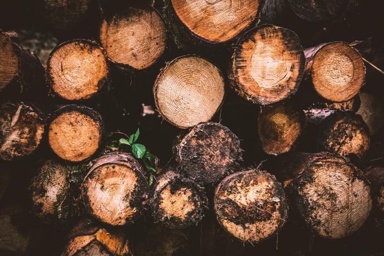 Free stock image of Wood Log created by Pixabay