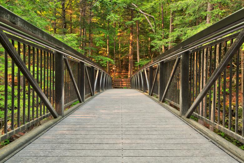 Free stock image of Green Mountain Forest Bridge - HDR created by Nicolas Raymond