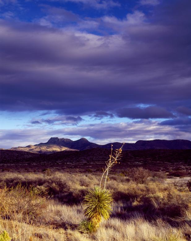 Free stock image of Mountain Range created by Pixabay