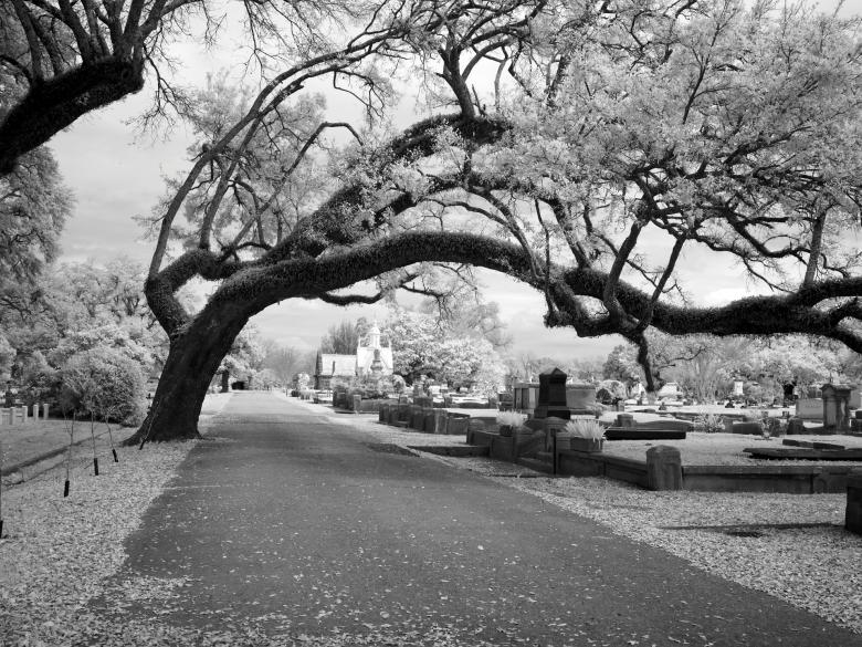 Free stock image of In the Cemetery created by Pixabay