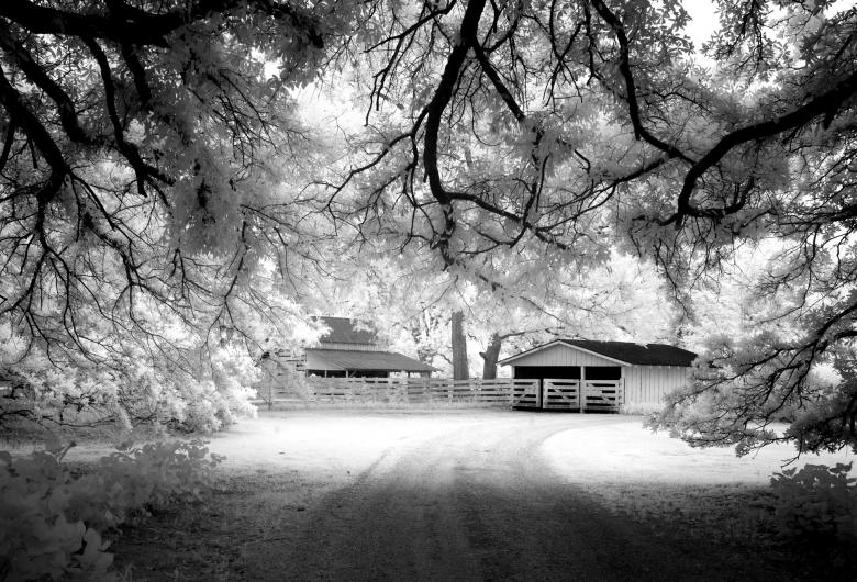 Free stock image of Wooden Farm House created by Pixabay