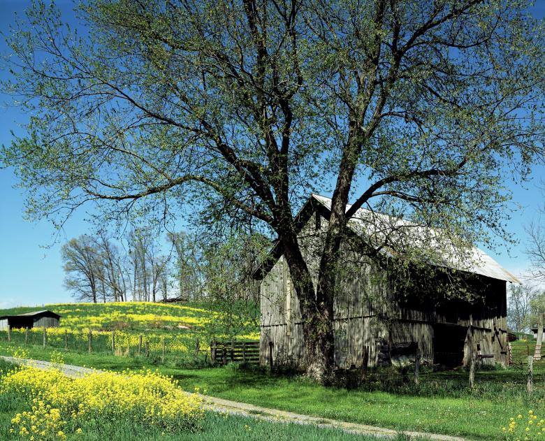 Free stock image of Wooden Hut created by Pixabay