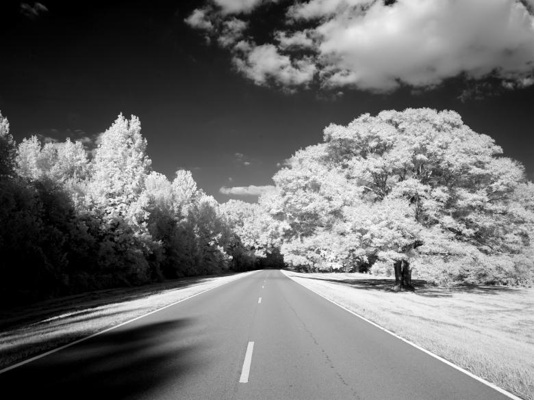 Free stock image of Natchez Trace Parkway created by Pixabay