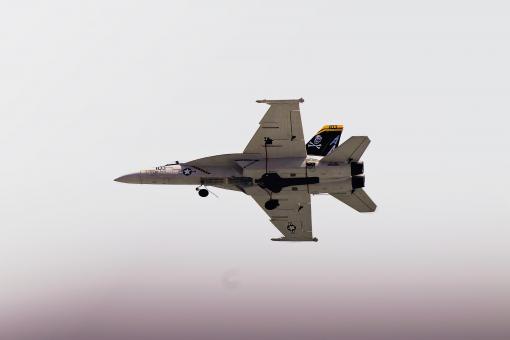 EDF F 18 Hornet Model Jet - Free Stock Photo