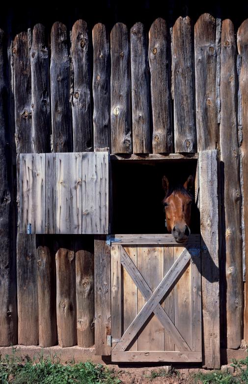 Free stock image of Horse Stable created by Pixabay