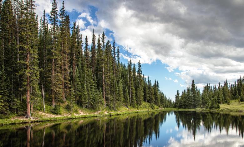 Free stock image of Irene Lake created by Pixabay