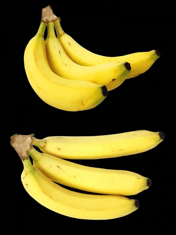 Free stock image of Fresh Bananas created by Pixabay