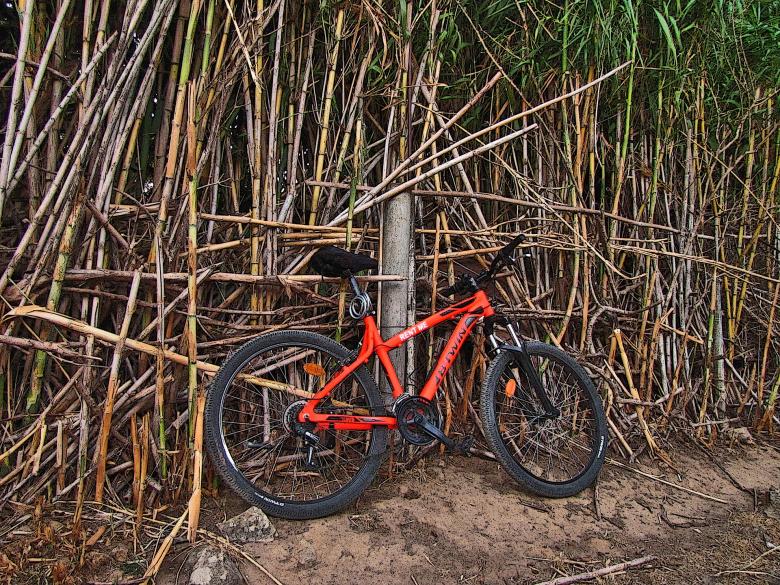 Free stock image of Mountain Bike created by Pixabay