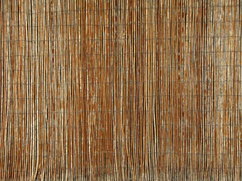 Free stock image of Bunch of Cane created by Pixabay