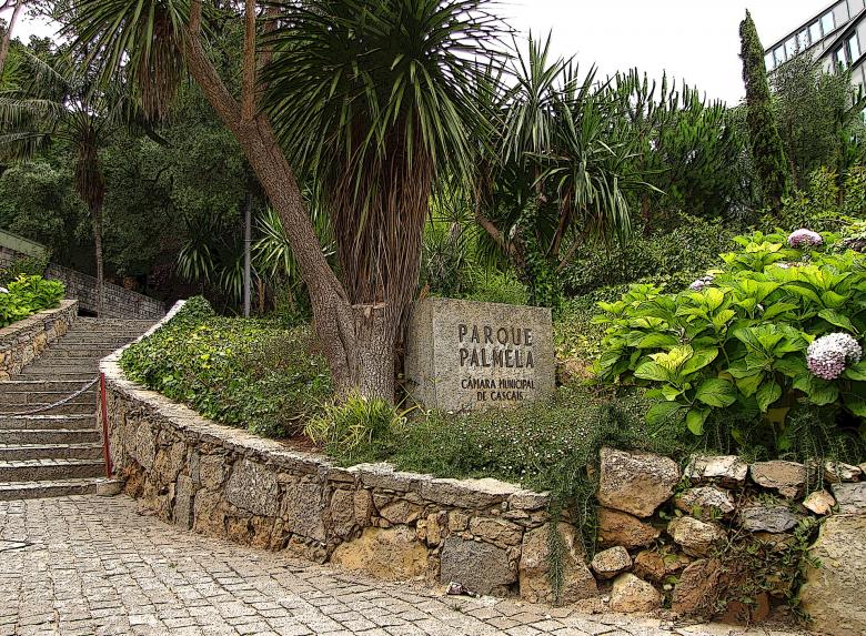 Free stock image of Parque Palmela created by Pixabay