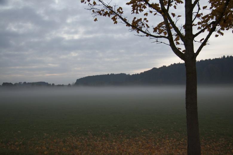 Free stock image of Photography in Autumn created by Pixabay