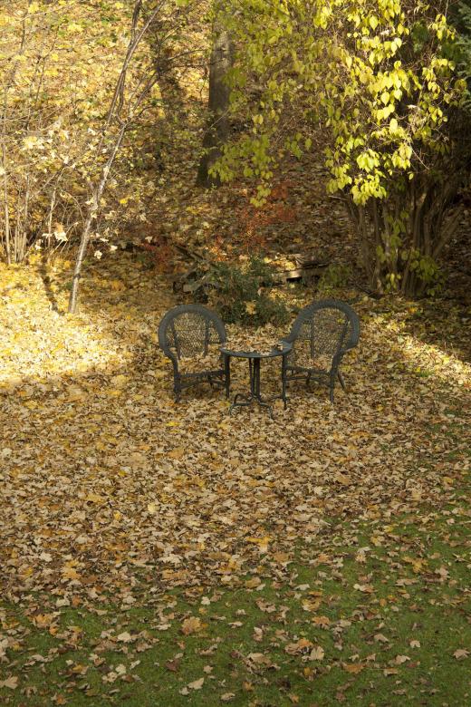 Free stock image of Autumn Photography created by Pixabay