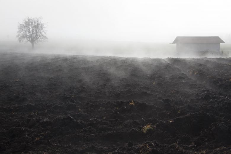 Free stock image of Foggy Field created by Pixabay