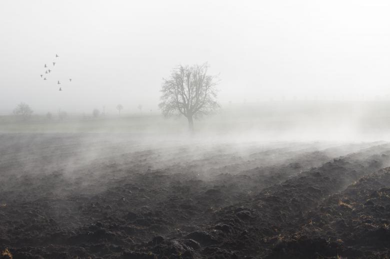 Free stock image of Foggy Morning created by Pixabay