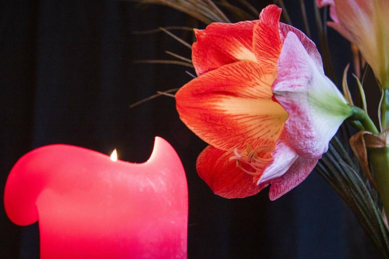 Free stock image of Flower and Candle created by Pixabay