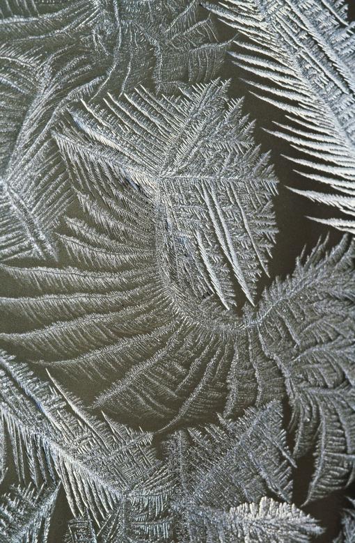 Free stock image of Ice Texture created by Pixabay