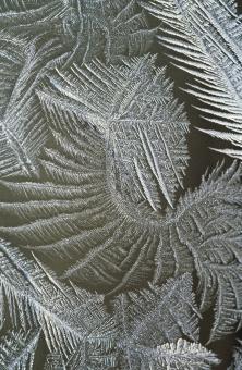 Ice Texture - Free Stock Photo
