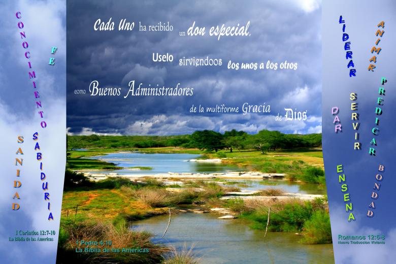 Free stock image of Un Don Especial created by DFNatureAwed