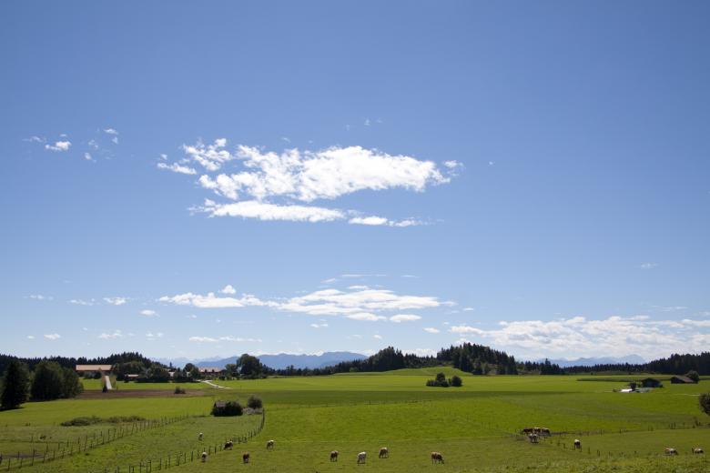 Free stock image of Animals in the Farm created by Pixabay