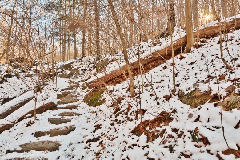 Free stock image of Winter Sun Step Trail - HDR created by Nicolas Raymond